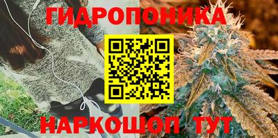 стаф Малоярославец