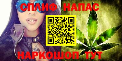 стаф Малоярославец