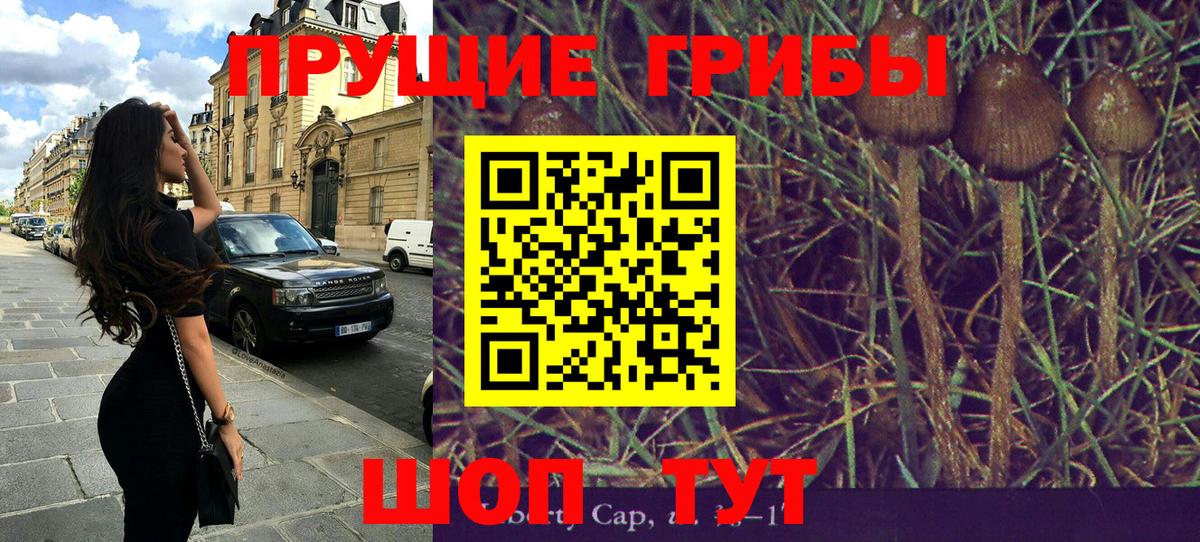 Тольятти  Галлюциногенные грибы мицелий  Вход с VPN 